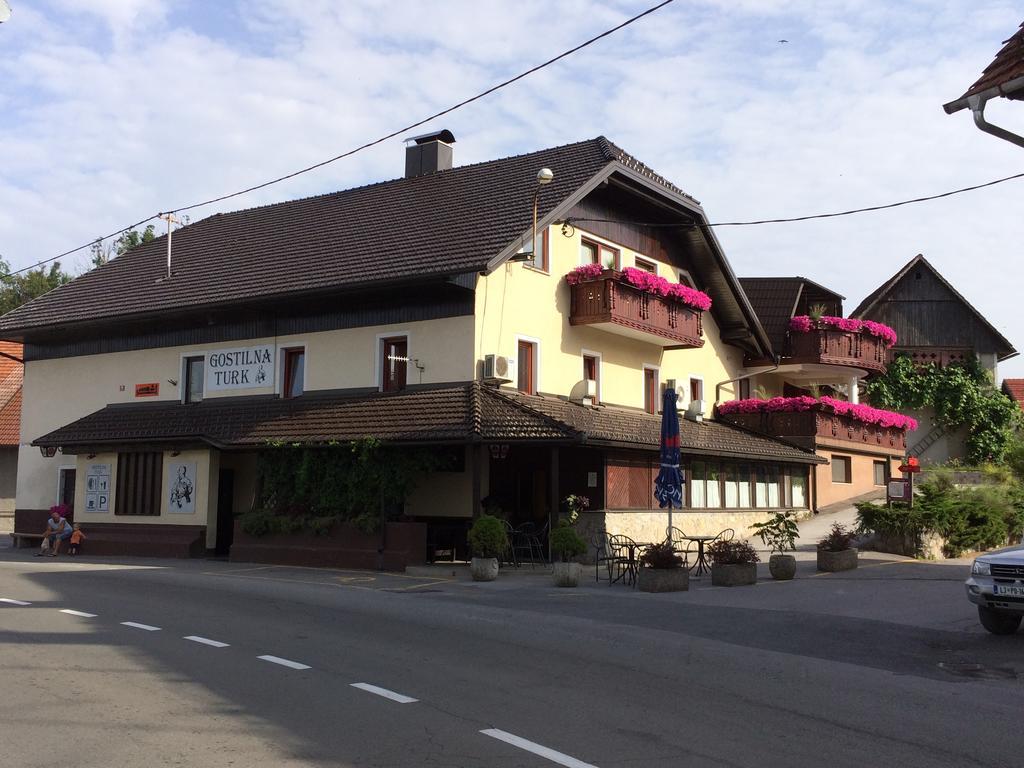 Gostilna Turk Hotel Hotedrsica ภายนอก รูปภาพ